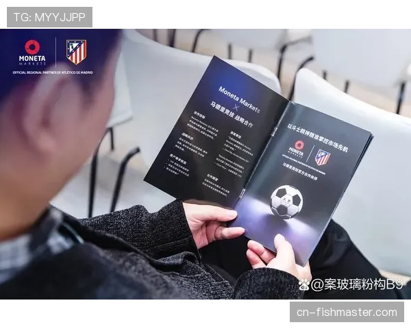 体育赛事监管体系：职业联赛财务公平法案的执行与俱乐部合规运营