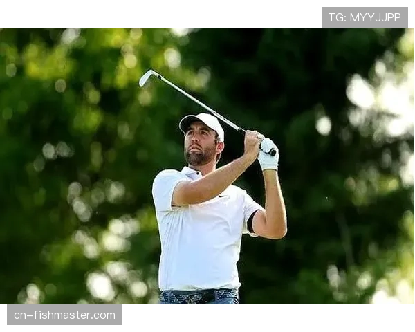 球员锦标赛移动日：舍夫勒于后九洞连抓四鸟，重夺领先位置